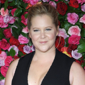 celebrity Amy Schumer