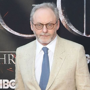 biography Liam Cunningham