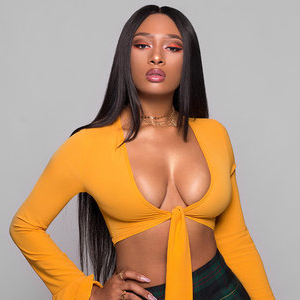 celebrity Megan Thee Stallion