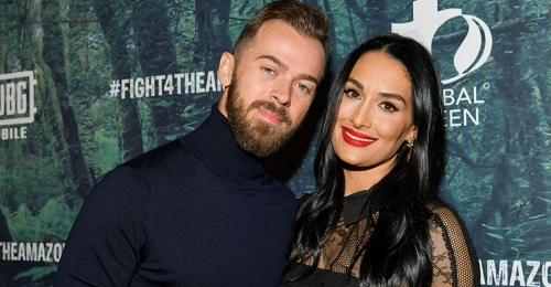 news Nikki Bella, Artem Chigvintsev marry in Paris after 3 year engagement